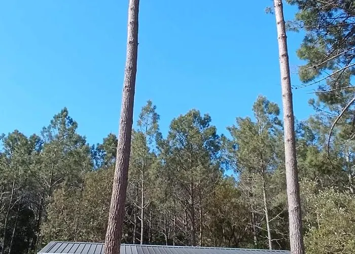 Bungalow *